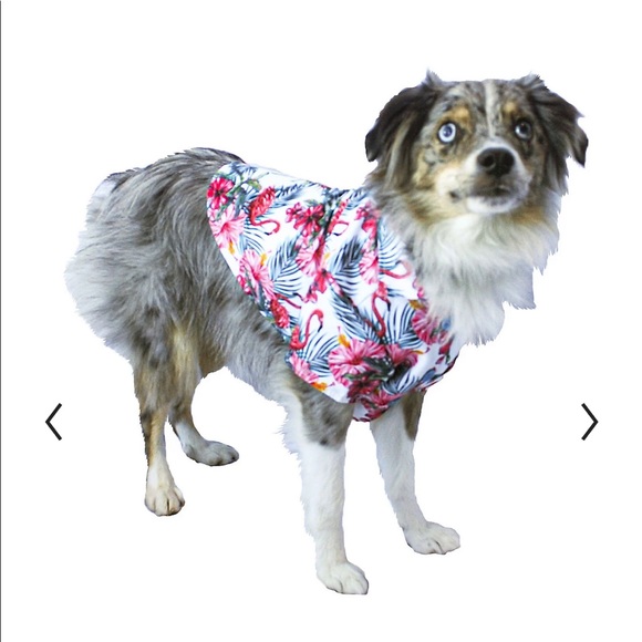 BRAND NEW DOG FLORAL HAWAIIAN SHIRT - Picture 5 of 9